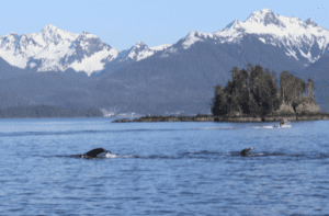 Photo of Pacific Ocean, Sitka, Alaska